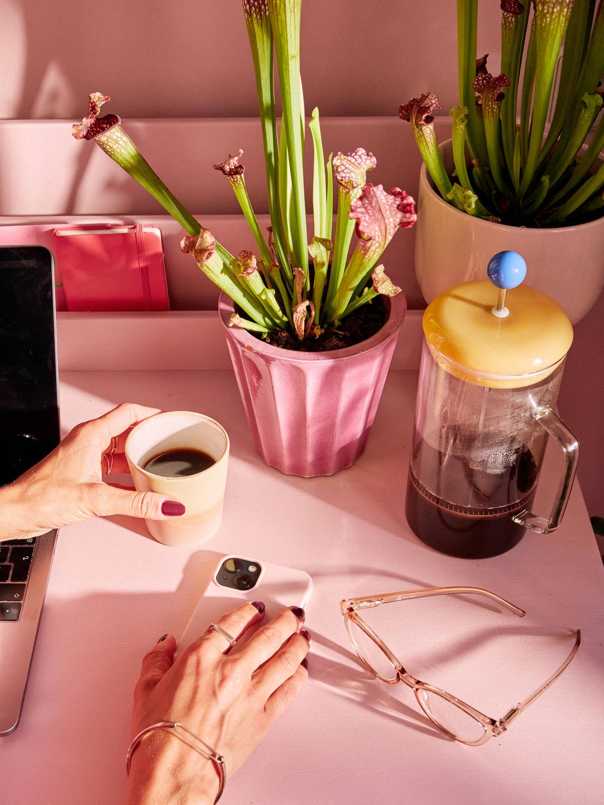 Online_Pink_0W6A1788