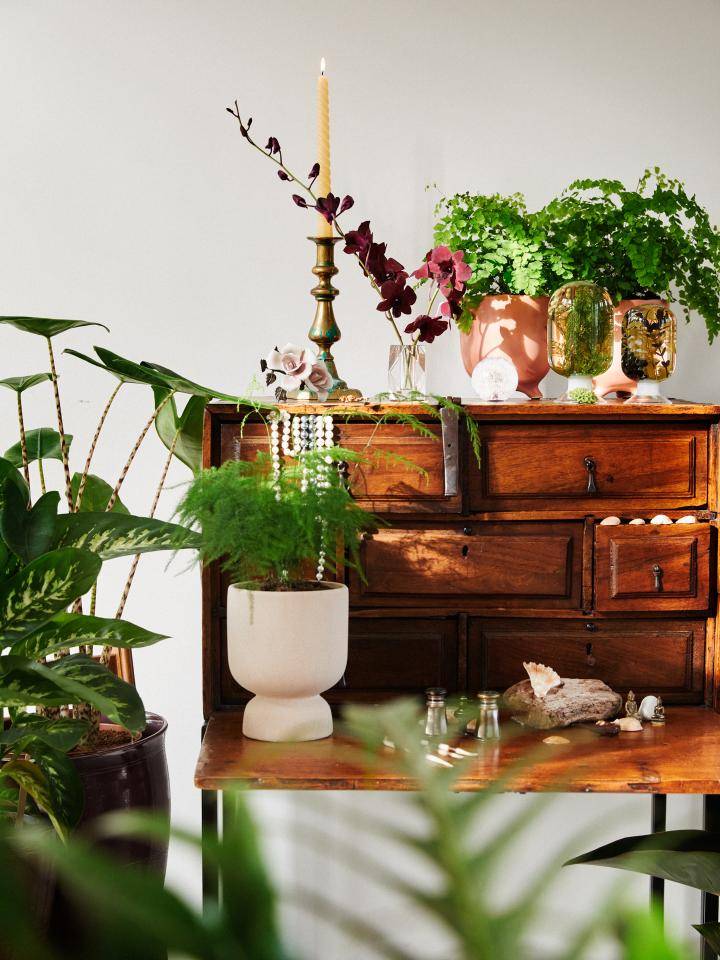 Online__W6A8746_Cabinet curiosity