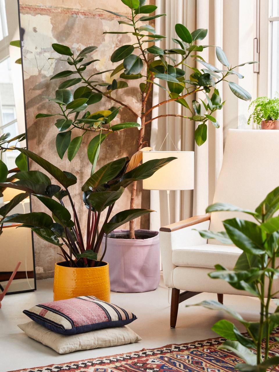Online__W6A9292_Plant corner (1)
