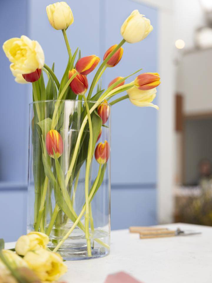 Tulpenvaas