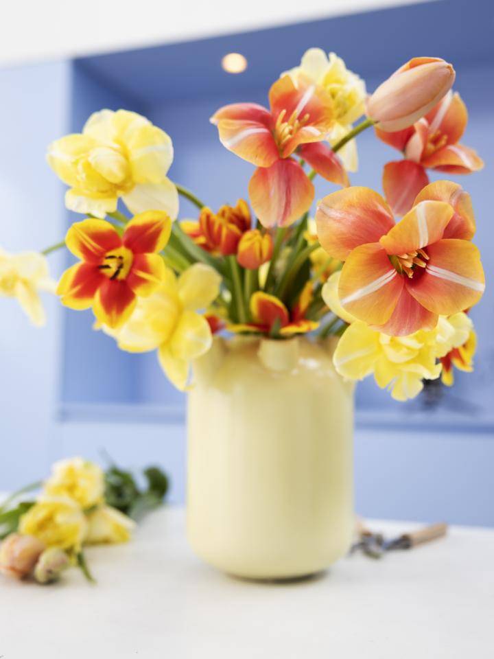 Tulpenvaas