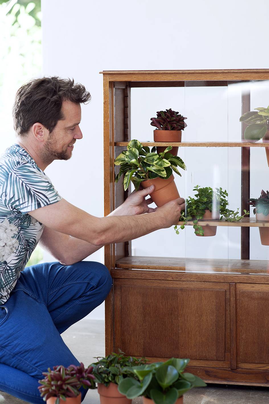 Man plaatst planten in kas