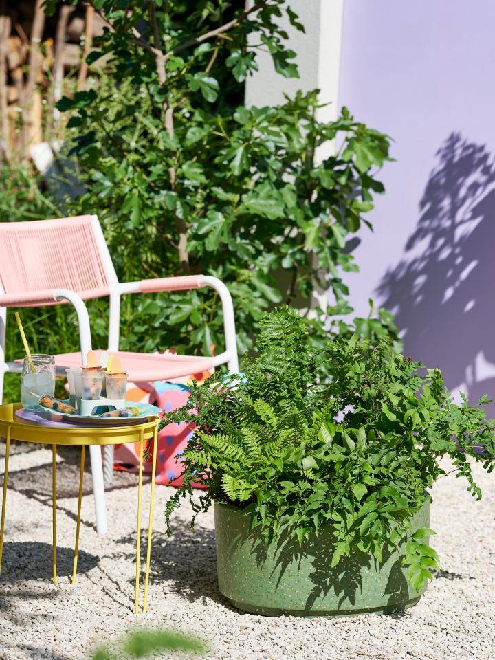 Tuin met roze stoel, gele tafel en groene plantenbak met varens tegen een paarse muur.