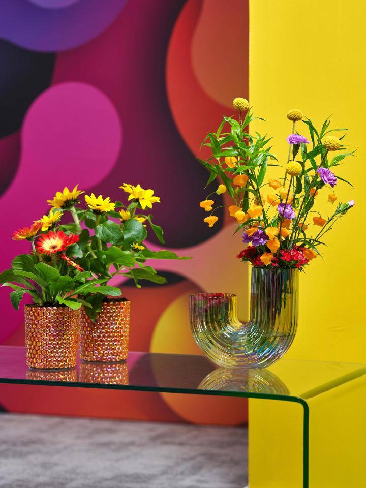 Trends-2025-radient-energy-bloemen-planten_ 1_LOW