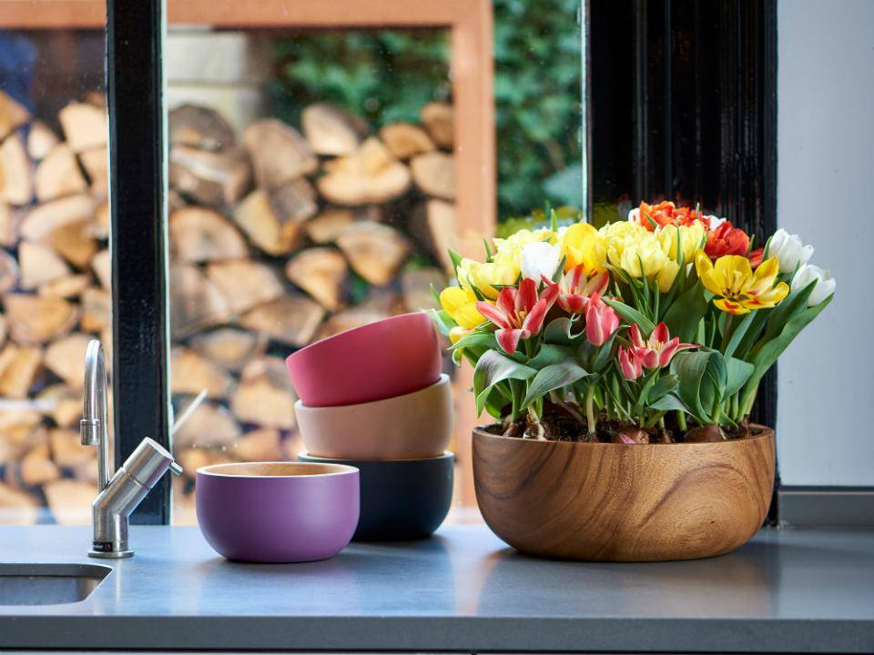 Tulp Mooiwatplantendoen.nl - 52db7a3f-fe13-45dc-85f7-4806ac9ff7ed