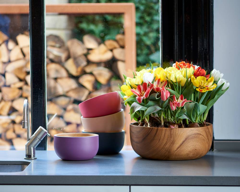 Tulp Mooiwatplantendoen.nl - 52db7a3f-fe13-45dc-85f7-4806ac9ff7ed