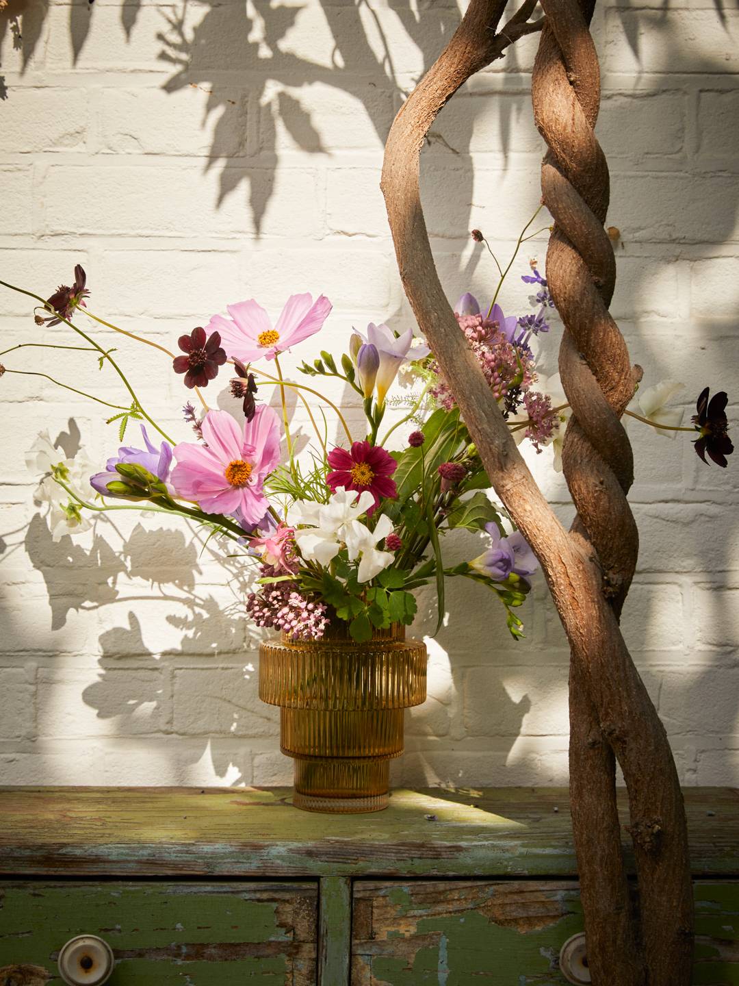 WEB_flowercare__C9A9002brightbreezy_