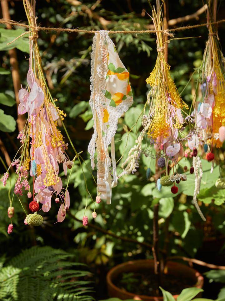 Droogbloemen