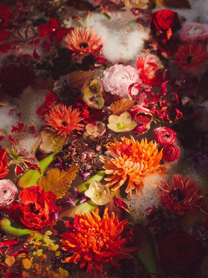 Kleurrijke bloemen, waaronder oranje, rode en roze, drijvend in een schuimige vloeistof.