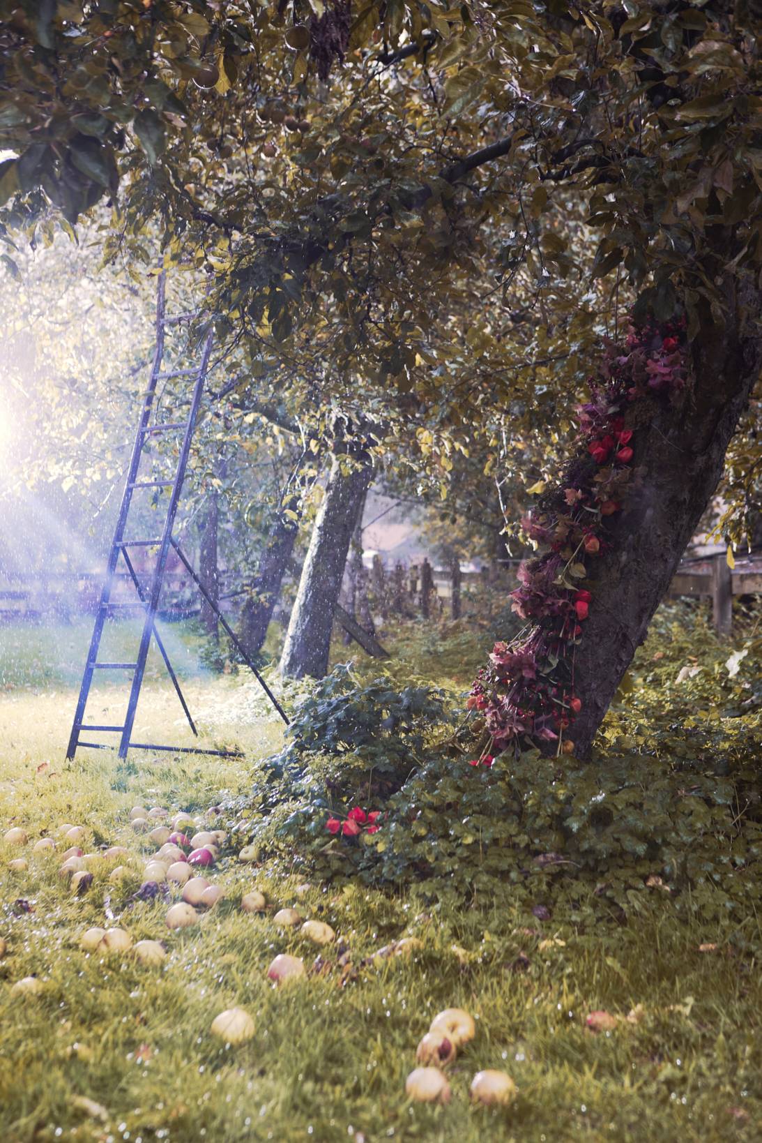 Herfsttuin