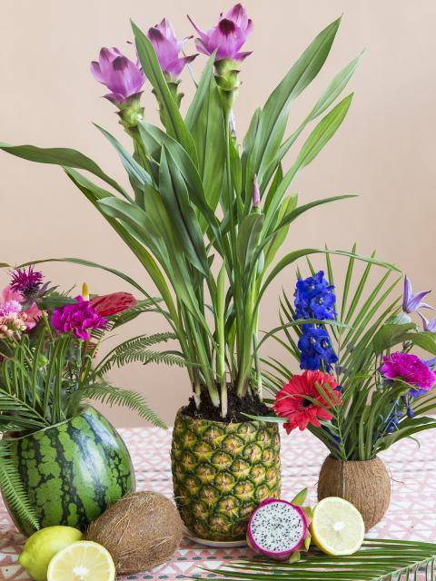 Fruit en bloemen