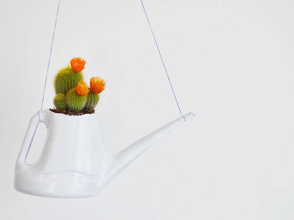 alternative-plant-pots3_1
