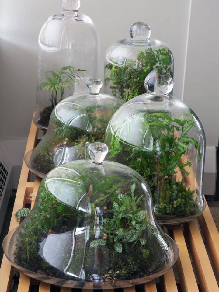 balconygardenerca