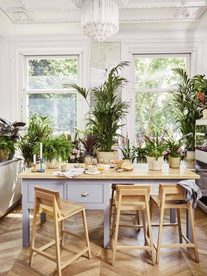 Huis vol planten en bloemen