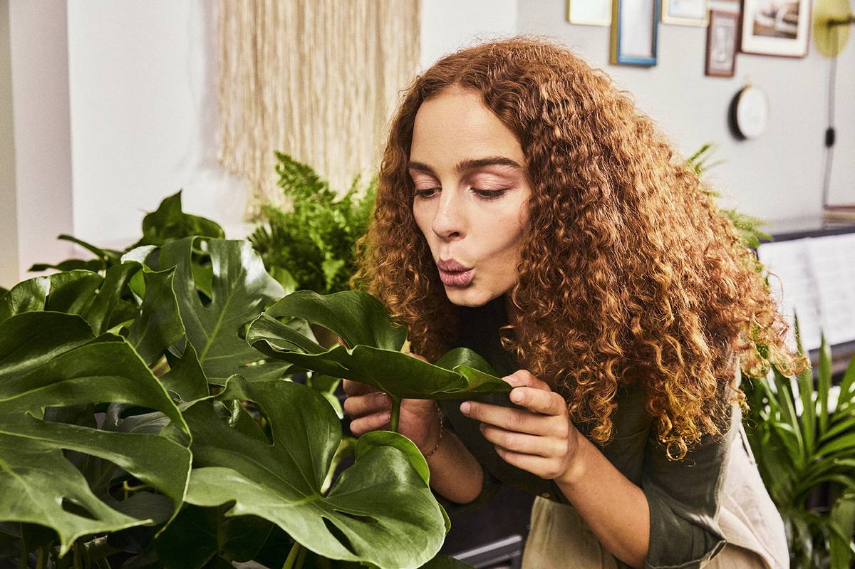 Planten opfrissen