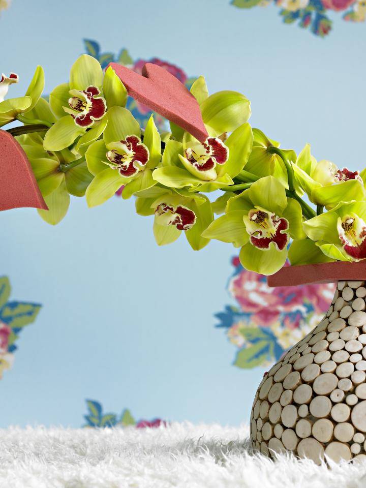Orchidee