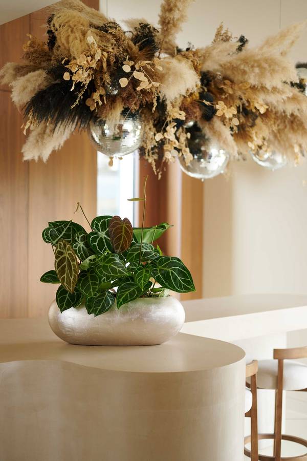 bloemenbureau_holland_orbit_revive_bbh_trends_or_14_low