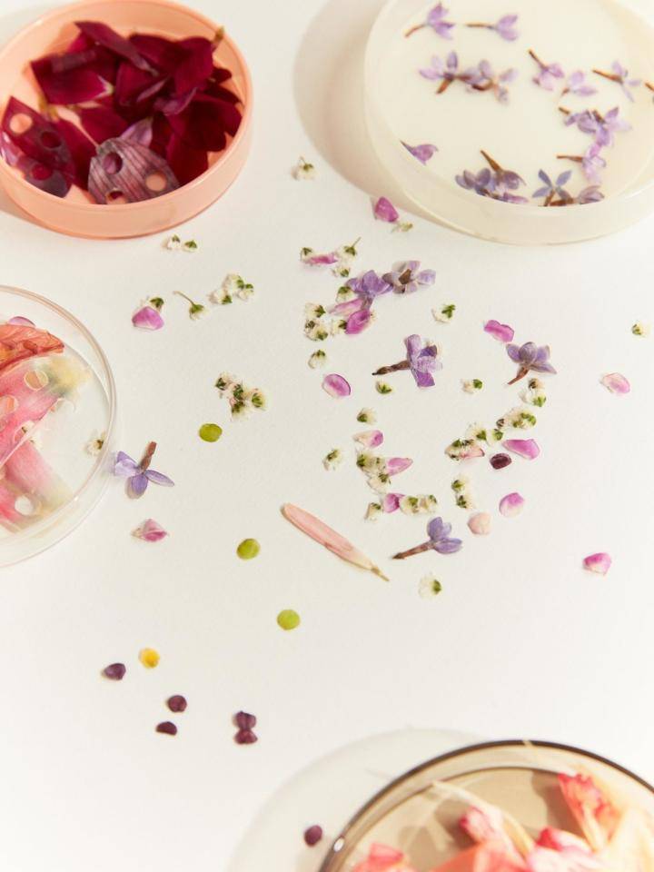 bloemenconfetti