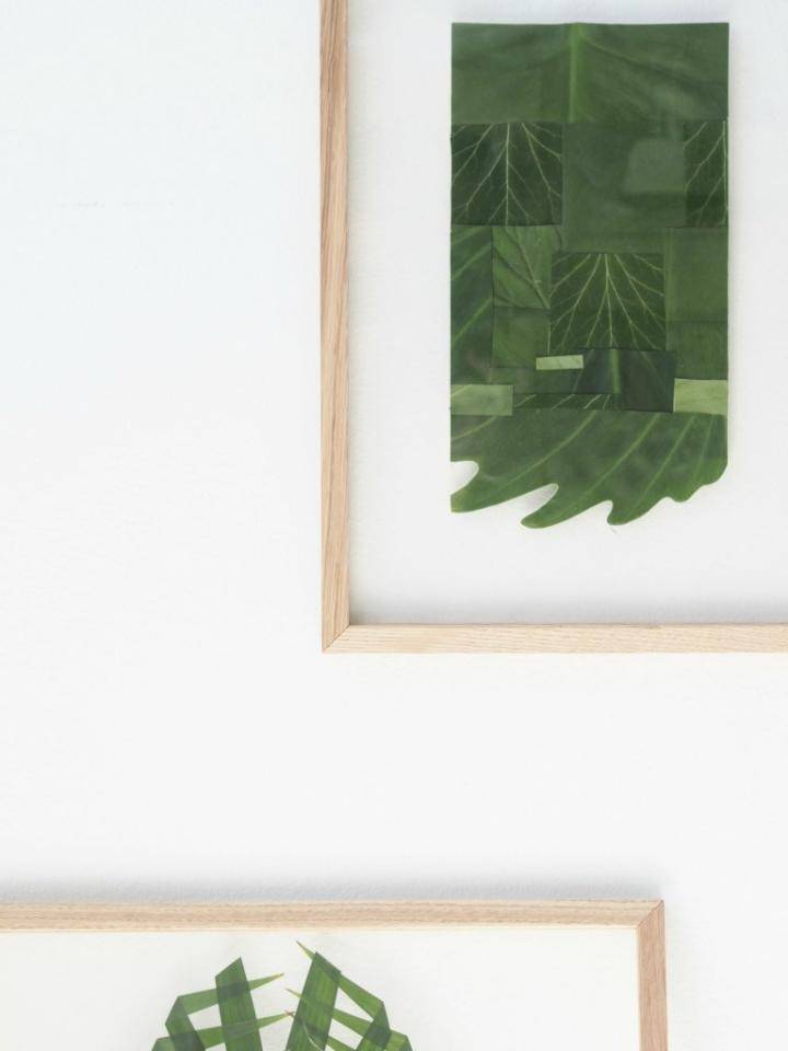 Diy planten in lijsten
