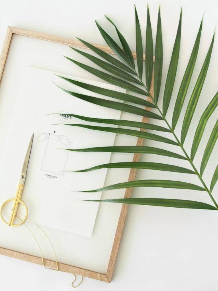 Diy planten in lijsten
