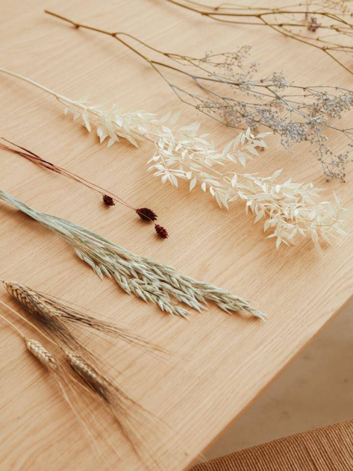 Various dried plants and flowers arranged in parallel lines on a wooden surface.