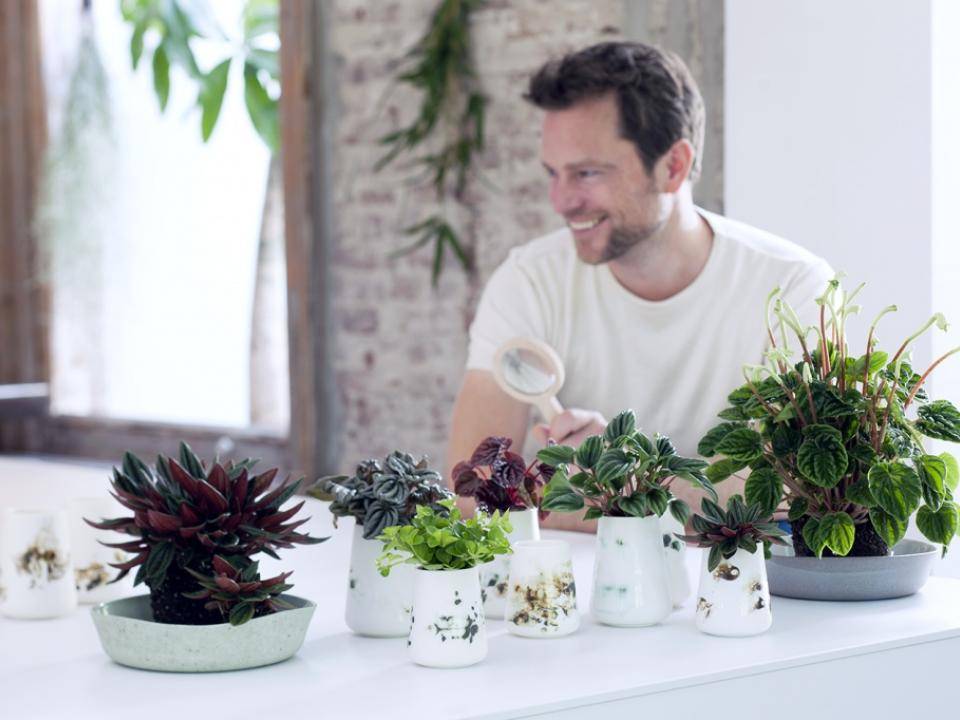 Planten