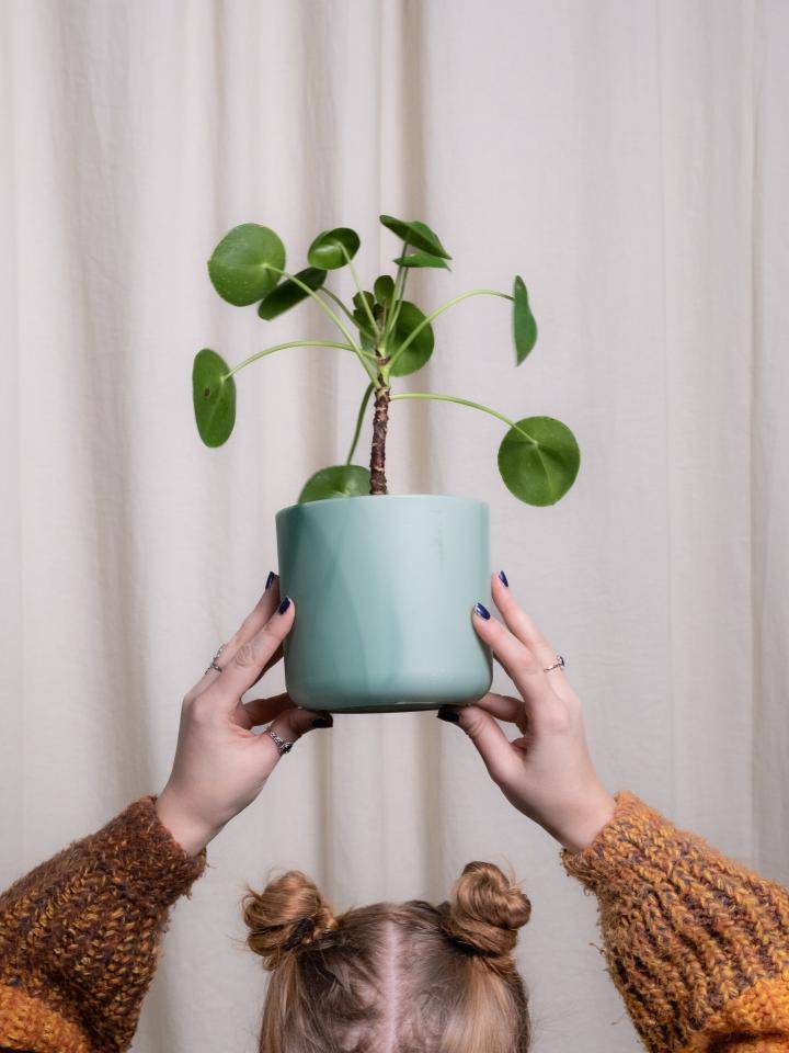 Kind met plantje boven hoofd