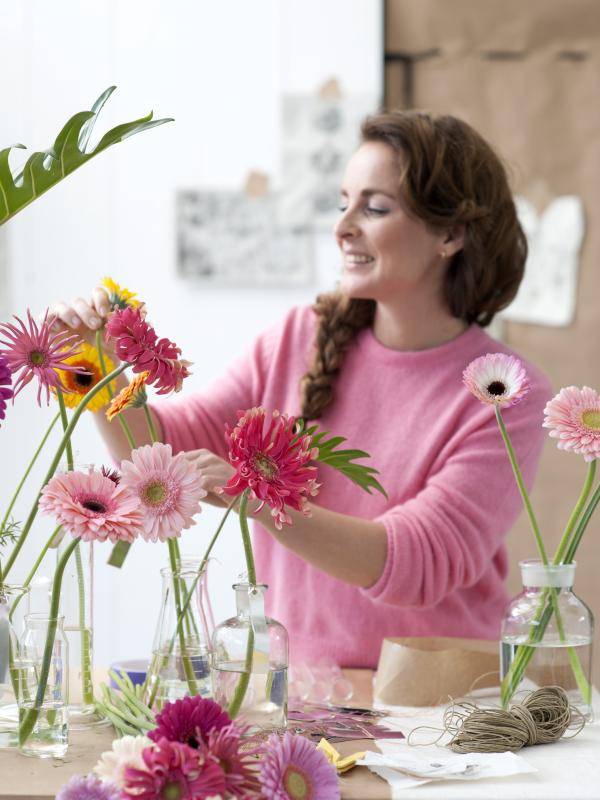 Gerbera