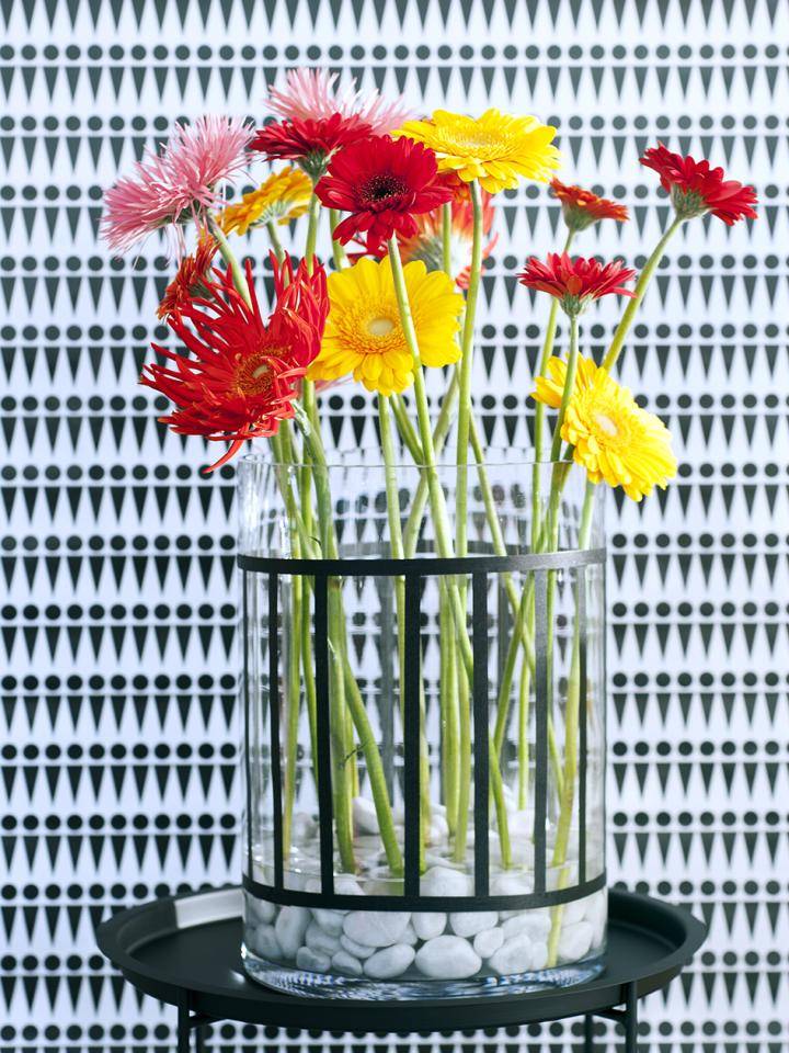 Gerbera