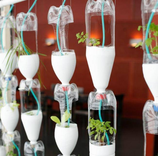 greenhouse_0