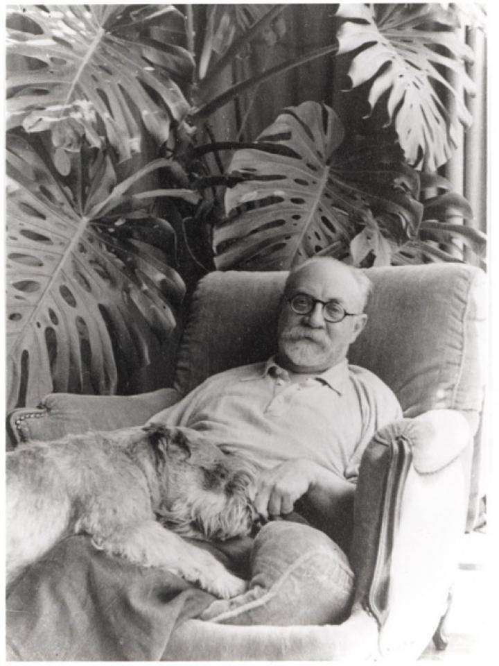 henri-matisse-and-his-monstera-via-tate-