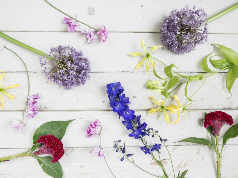 zomerbloemen