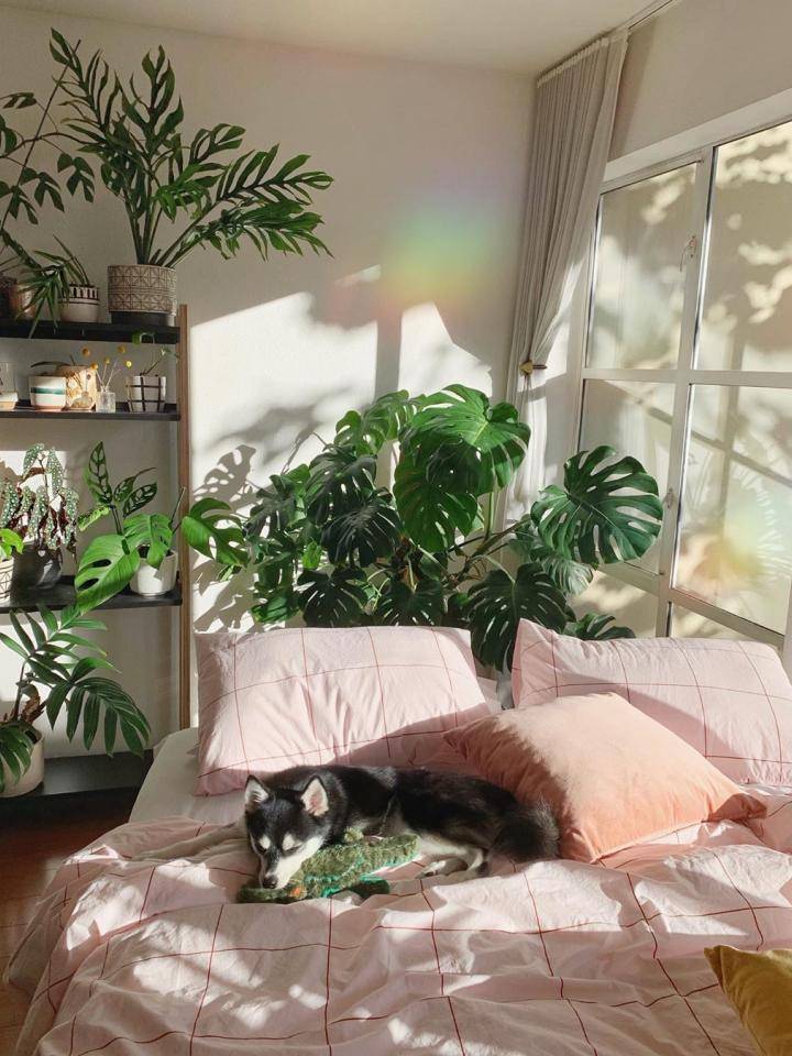 hothouse.jungle - slaapkamer