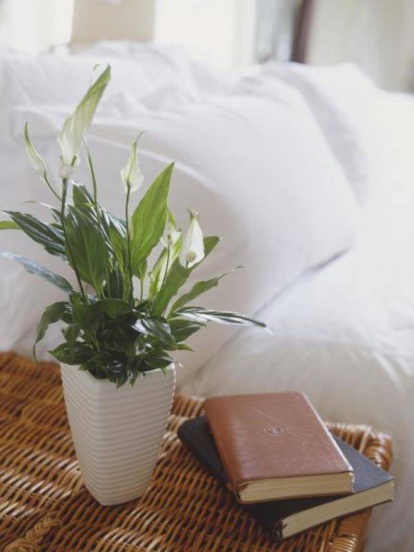 housebeautiful_4