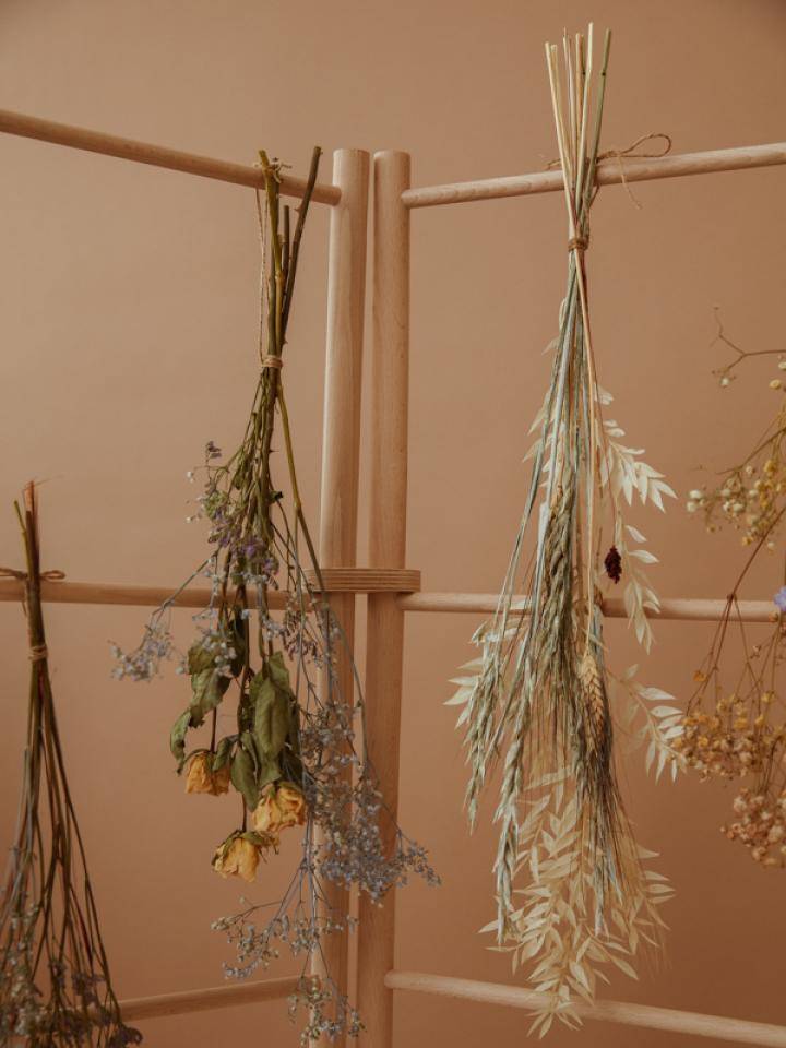 Droogbloemen
