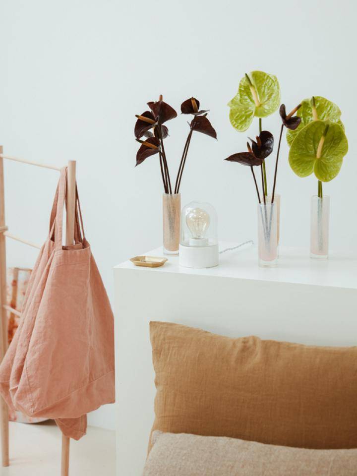 Anthuriums hartvorming