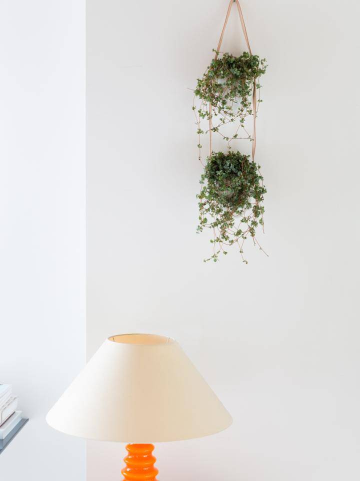 Plant design voor je thuiswerkplek