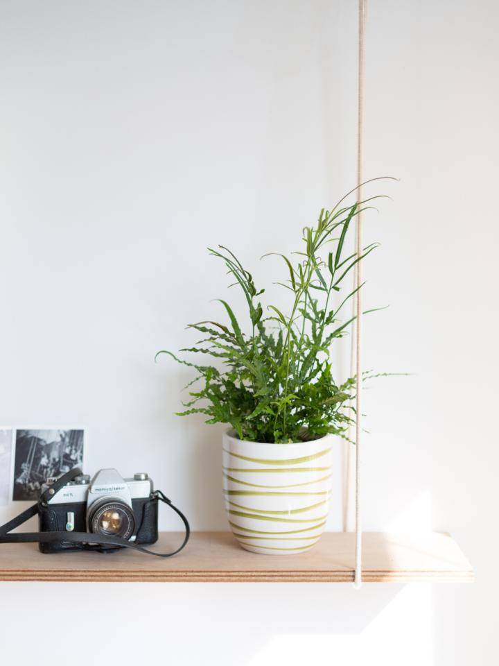 mwpd-plantenwijzer-lr-