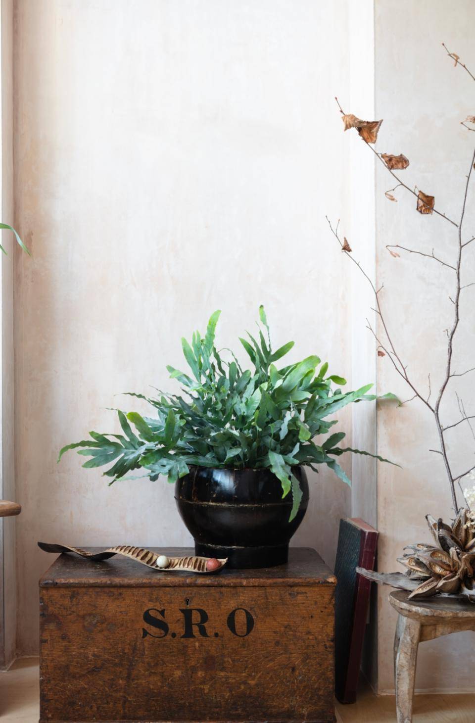 np_fever_wabi_sabi_finals-05 (1)