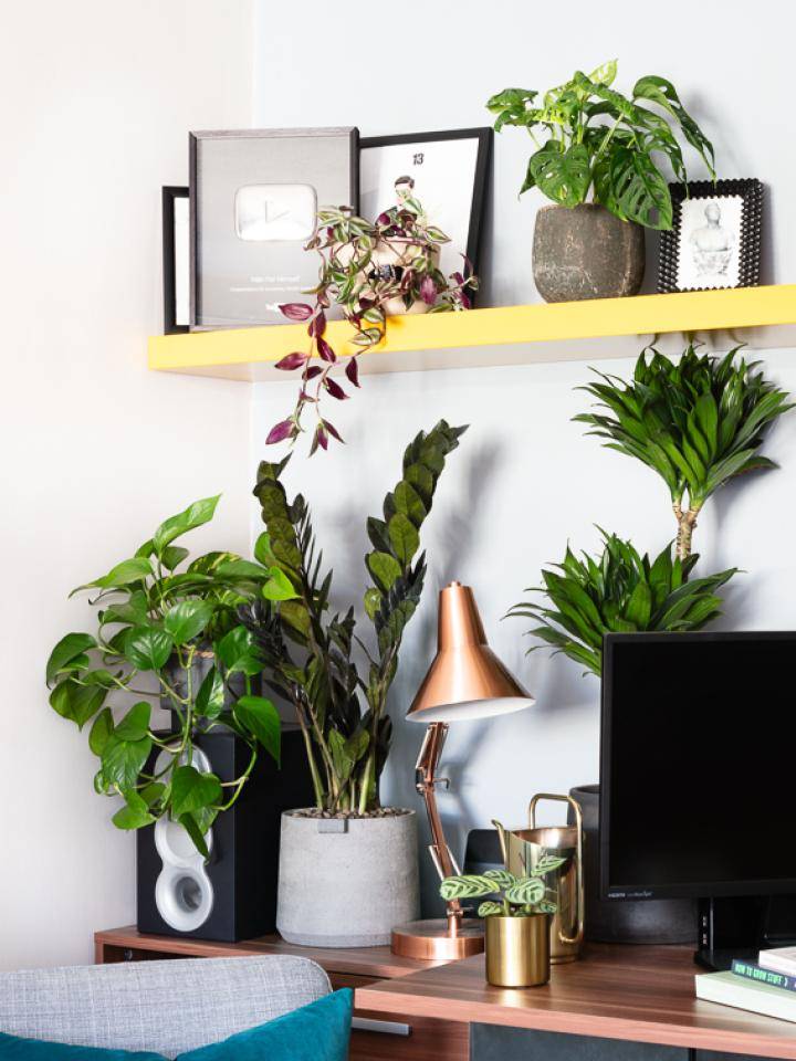 np_feverstophomeofficestills-16_0