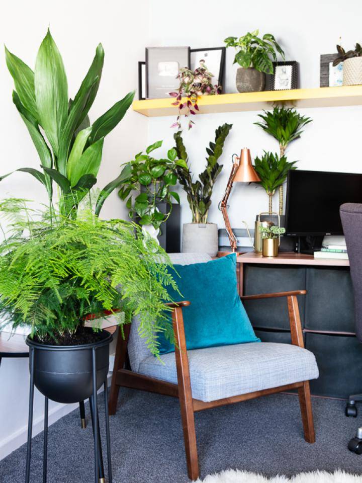 np_feverstophomeofficestills-1_0