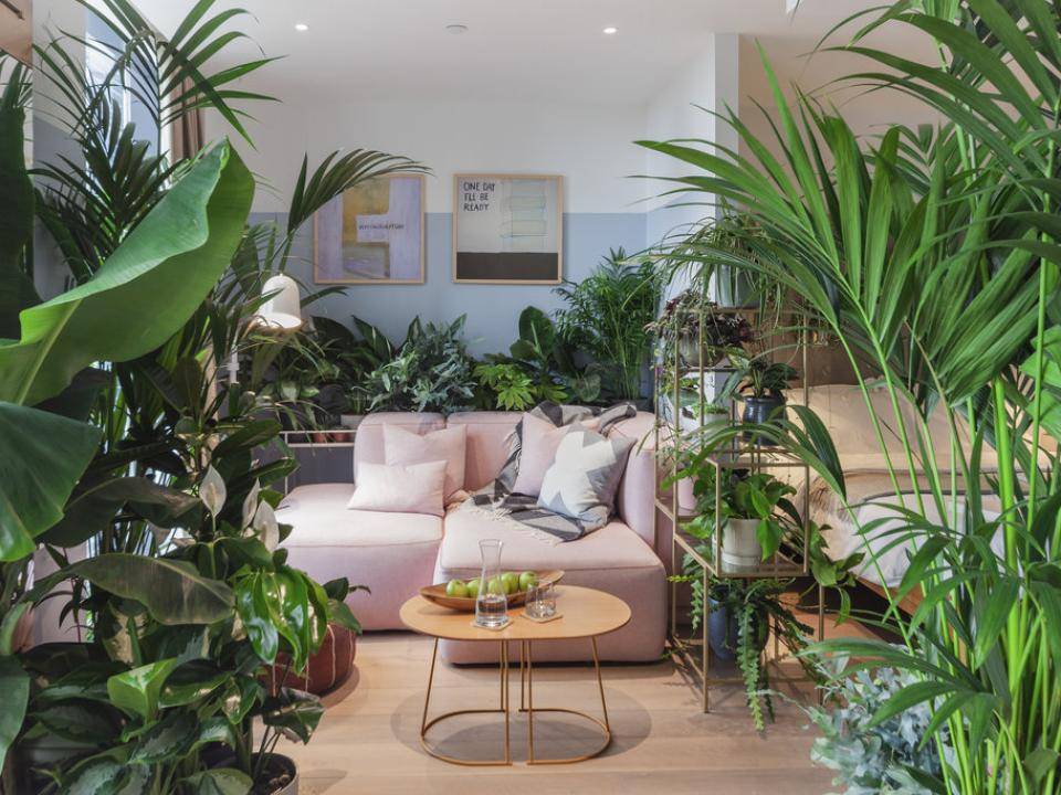 oliver_living_room