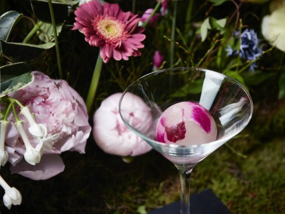 Eetbare bloemen