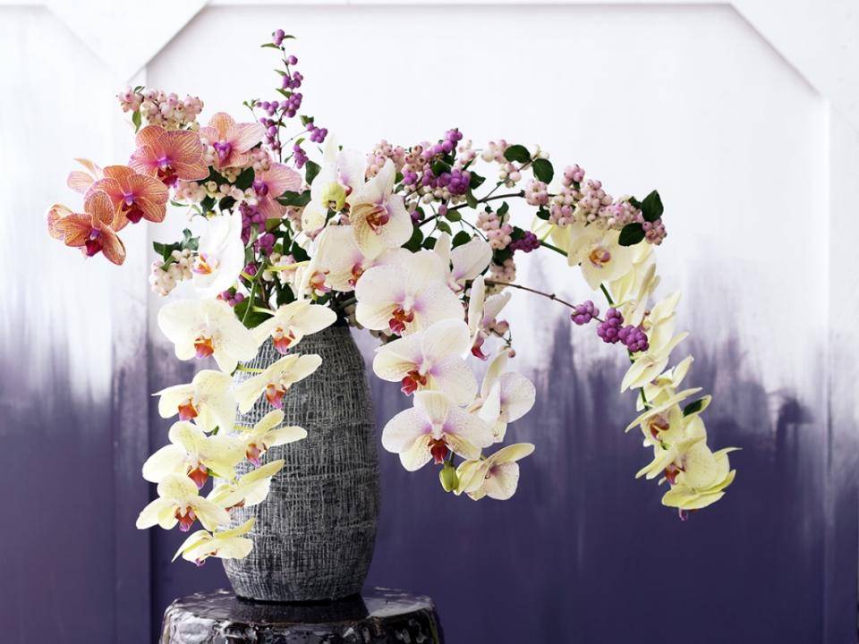 Orchidee feng shui