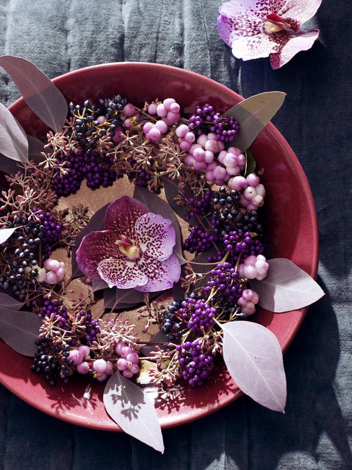 Orchidee feng shui