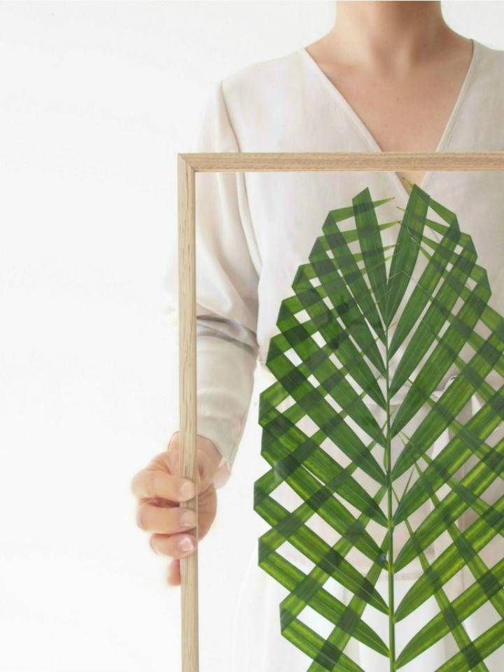 Diy planten in lijsten