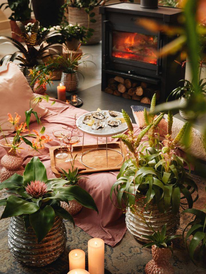 picknick voor passionele liefde