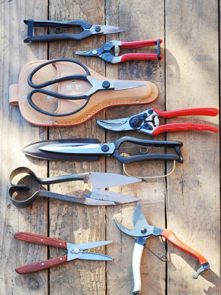 pruner