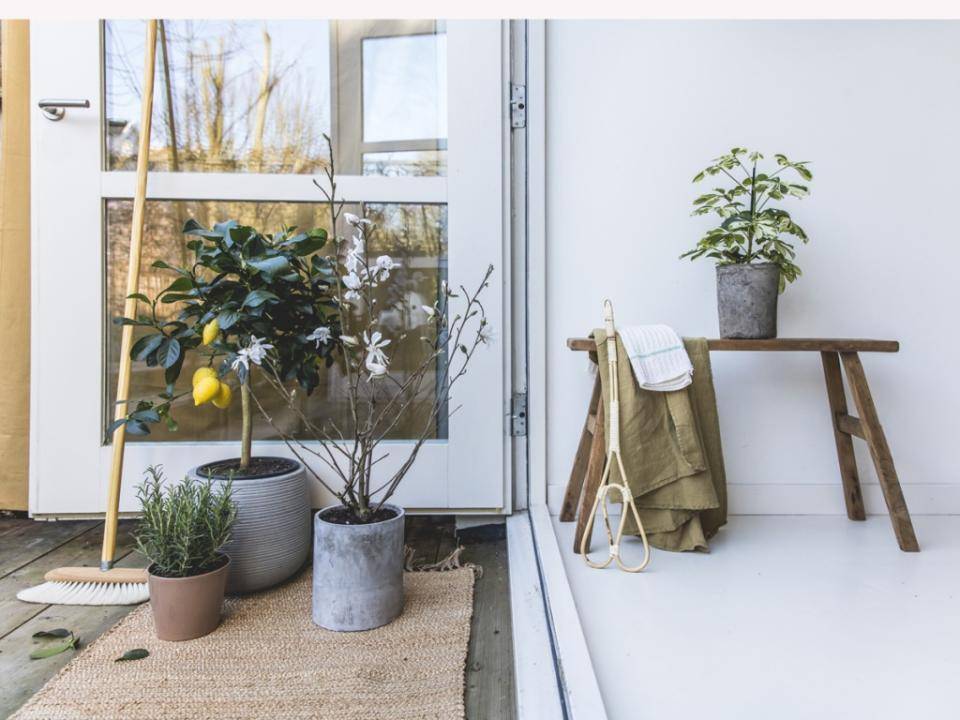 schoonmaken tuin