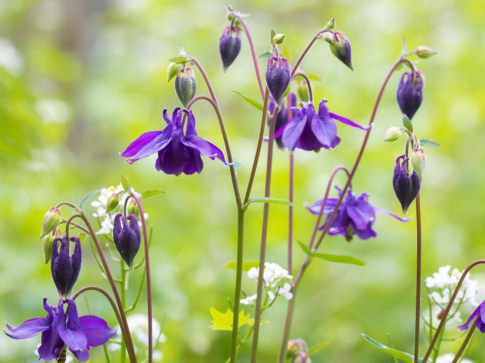shutterstock_1845587794